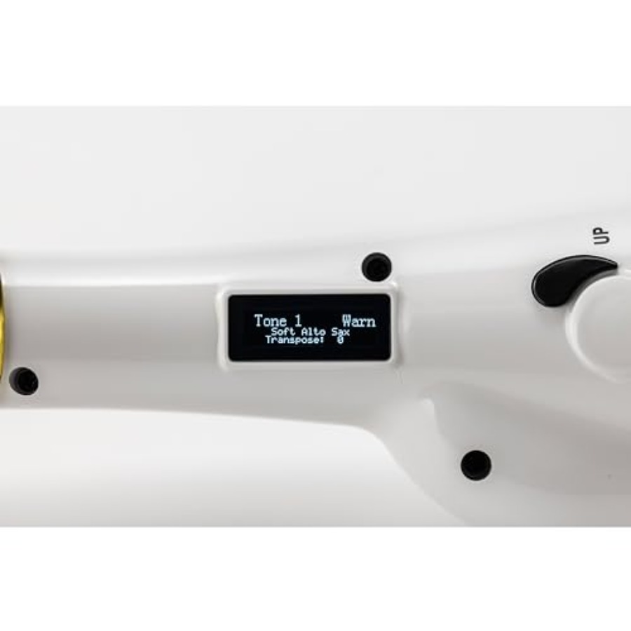 Elesa Electronic Saxophone Dig - đánh giá và giá Musical Instruments